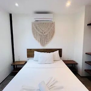 Hotel Coco Live, Playa del Carmen